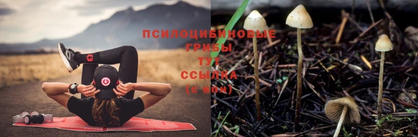 мяу мяу кристалл Нефтегорск