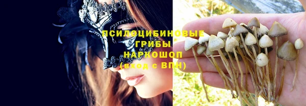 гидропоника Нефтекумск