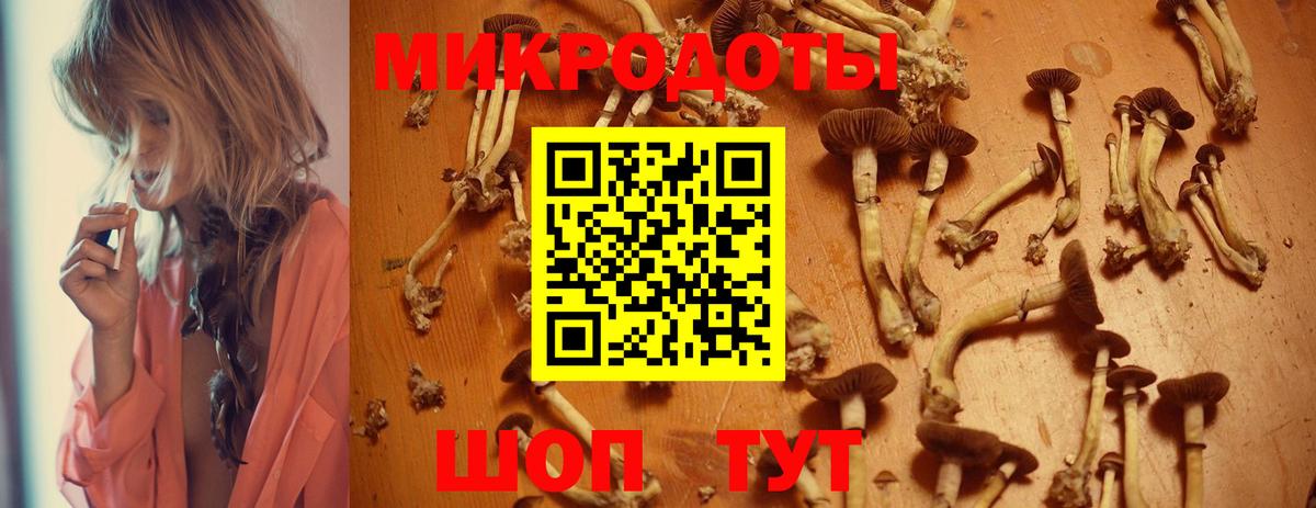Псилоцибиновые грибы ЛСД Коркино