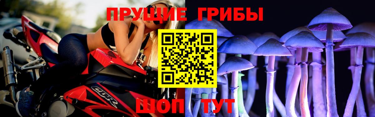 Галлюциногенные грибы Psilocybine cubensis Коркино