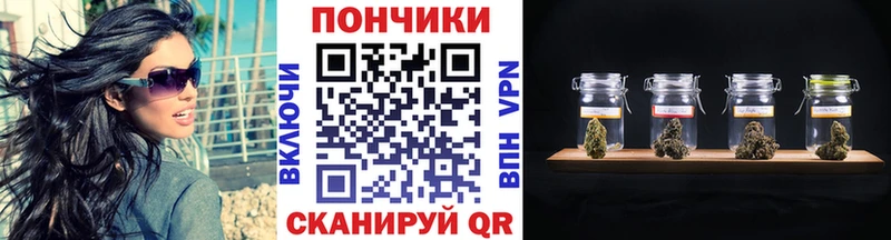 Шишки марихуана планчик  Коркино 